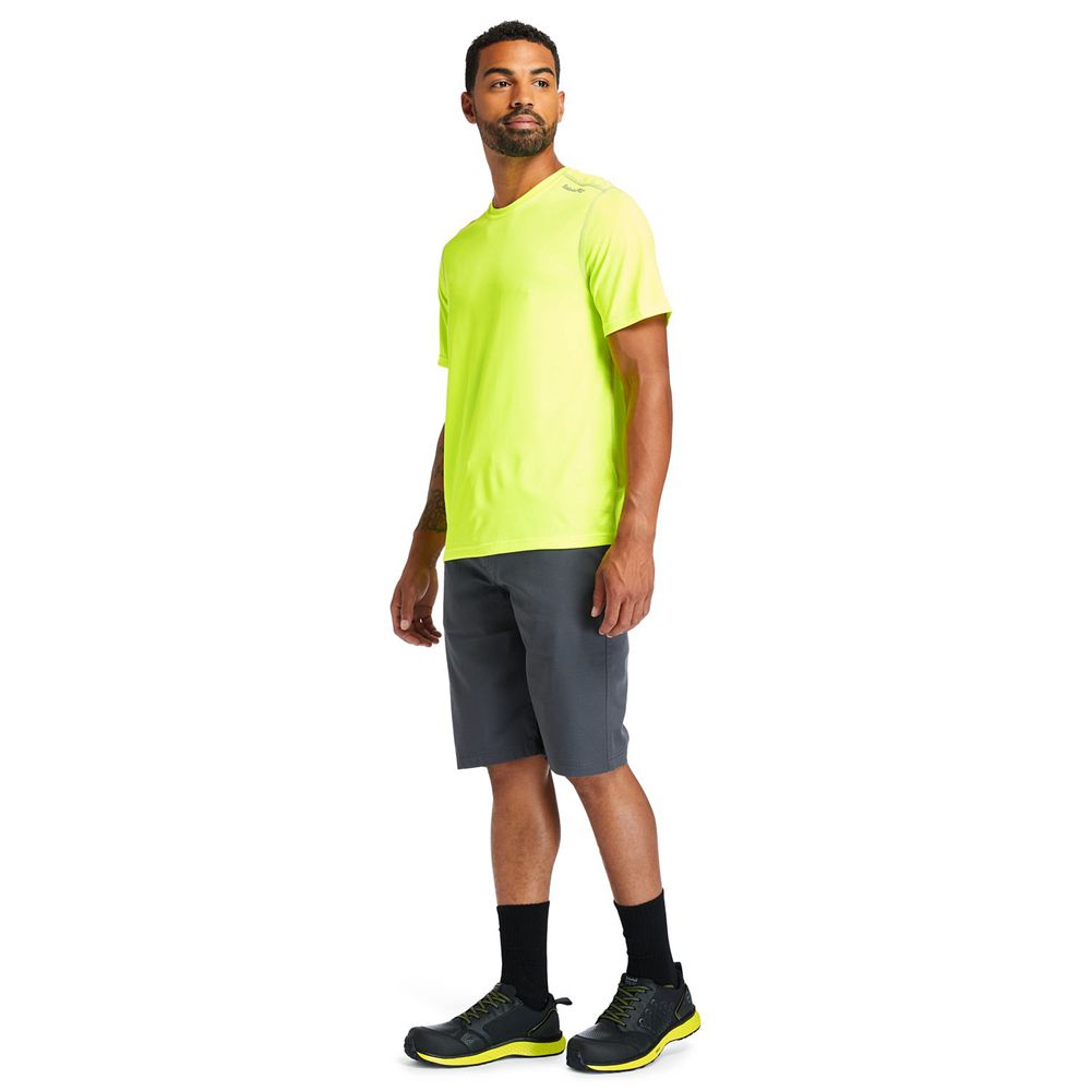 Camisetas Timberland Argentina Hombre - Pro® Wicking Good Sport Short Sleeve - Verde - SZDVXC-350